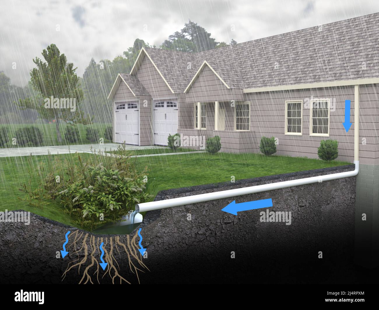 Una ilustración esquemática 3D de un sistema de drenaje del Jardín de