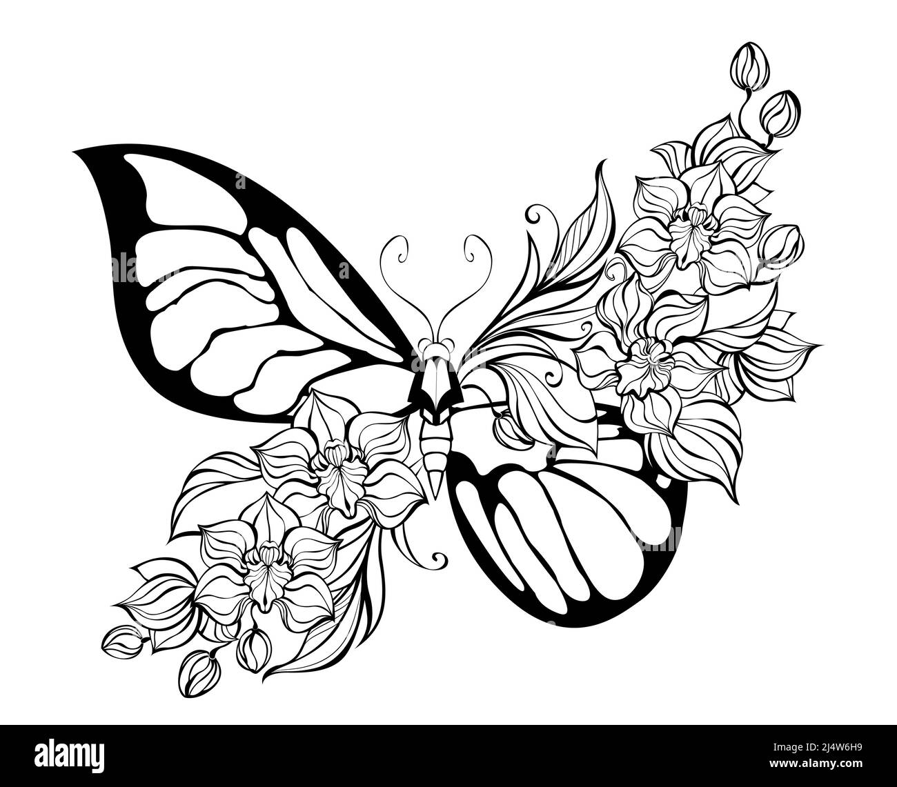 Contorno, estilizada, mariposa artística, decorada con orquídeas exóticas sobre fondo blanco. Libro para colorear. Ilustración del Vector