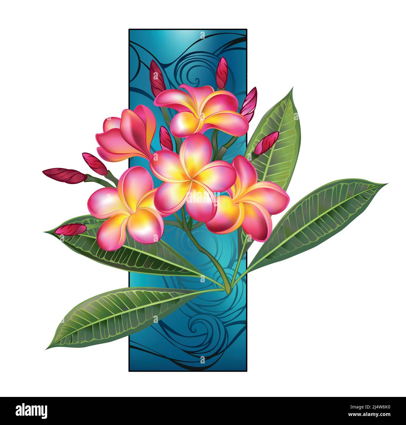 Rama de plumeria artísticamente dibujada con hojas verdes y flores rosadas en flor contra rectángulo azul marino. Ilustración del Vector