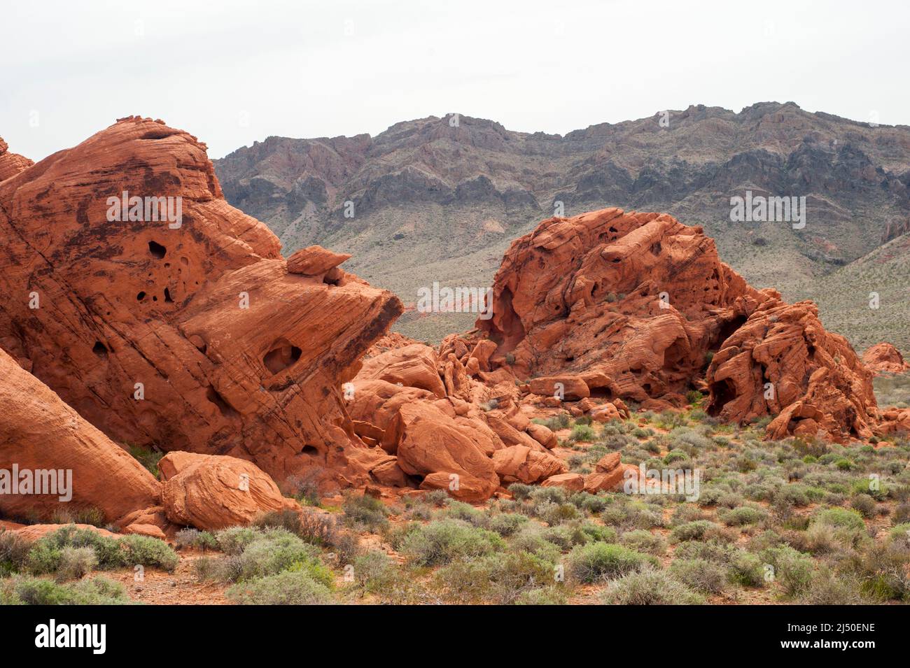 Piedra arenisca azteca y acantilados de piedra caliza del Parque Estatal Valley of Fire, Nevada. Foto de stock