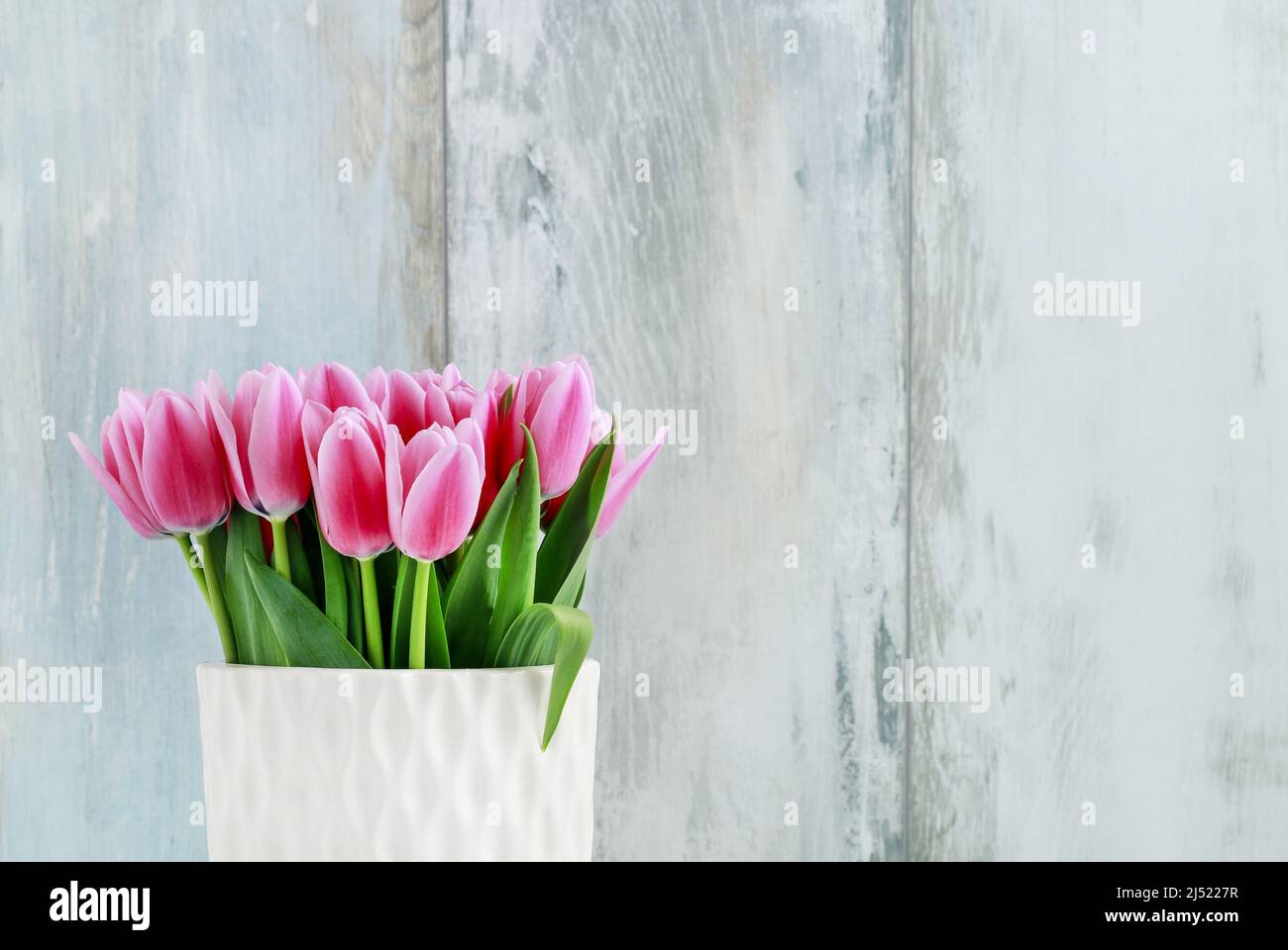 Tulipanes rosas en jarrón de cerámica blanca, fondo de pared de madera. Decoración de fiesta Foto de stock