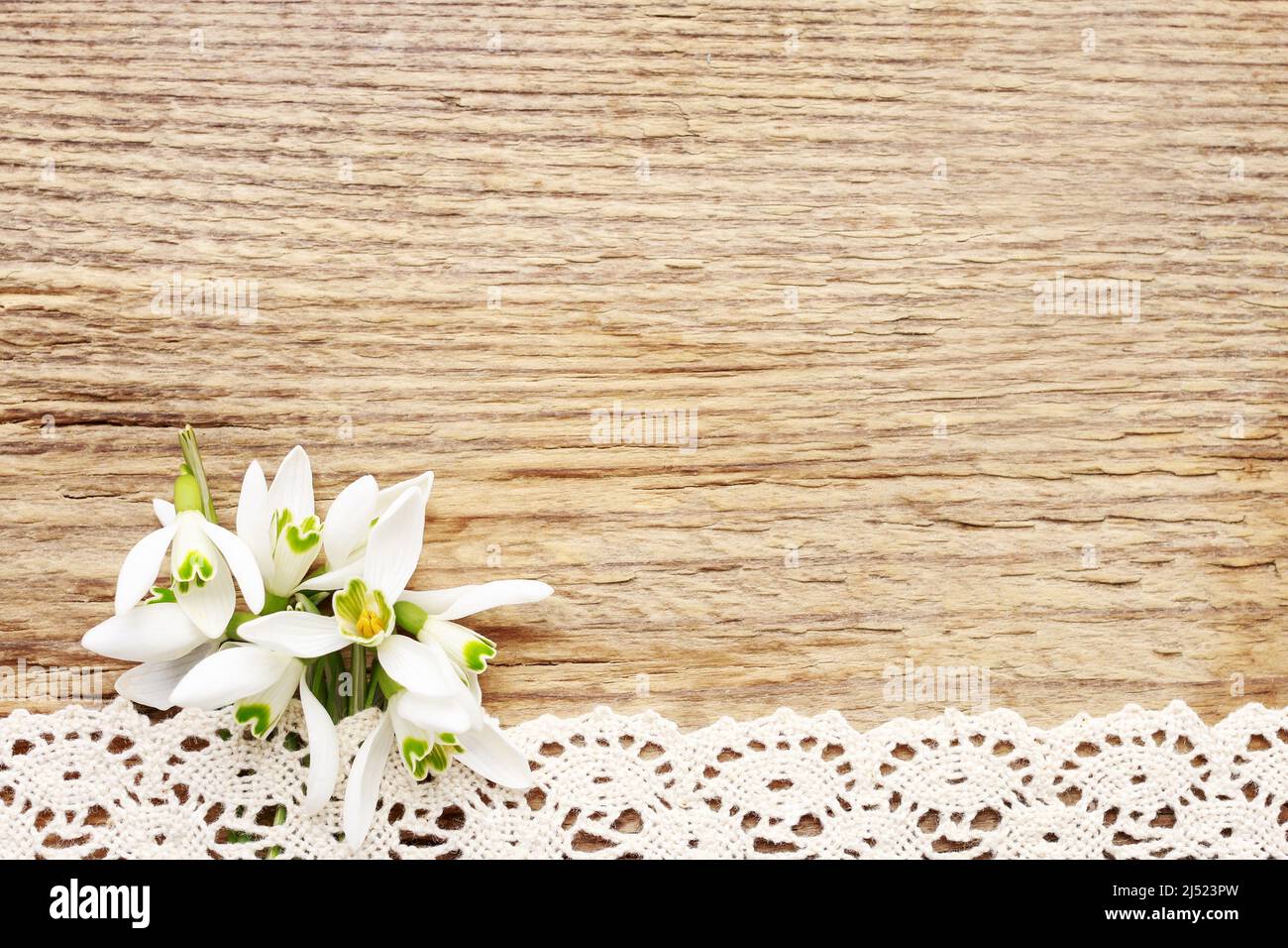 Ramo de flores de nieve (Galanthus nivalis) sobre fondo de madera, espacio para copias. Foto de stock