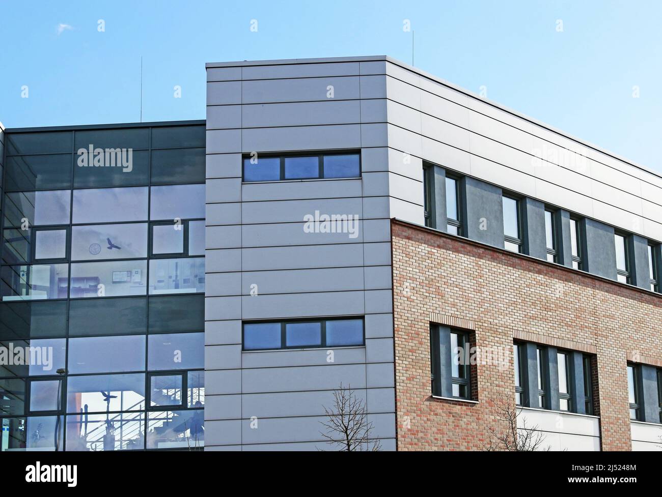 La Universidad Jaguellónica. La universidad más antigua de Polonia, la