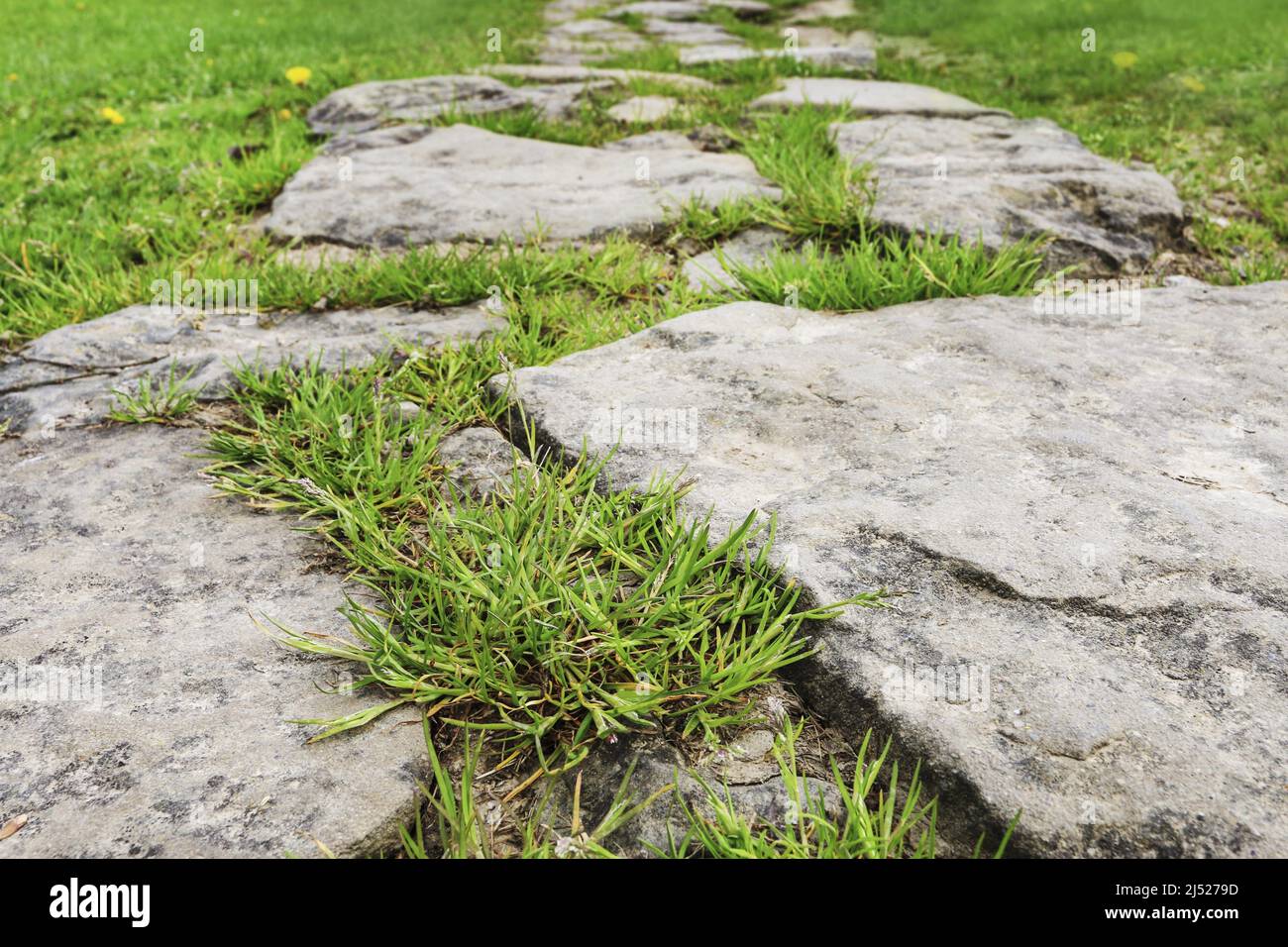 Muy antiguo camino de piedra jardín. Recursos gráficos Foto de stock