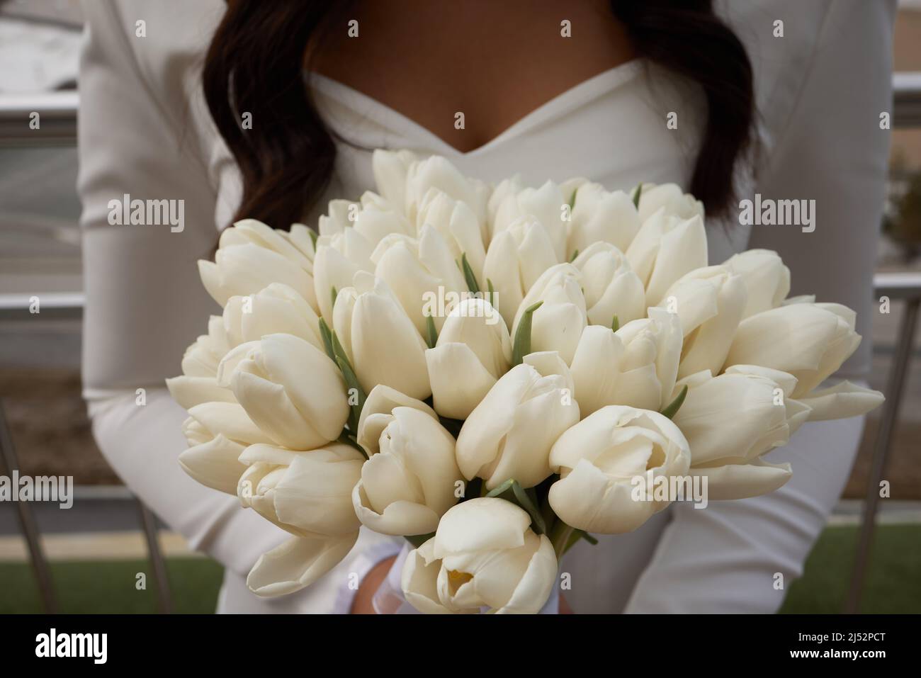 Hermoso gran ramo de tulipanes blancos en las manos de la novia Fotografía  de stock - Alamy