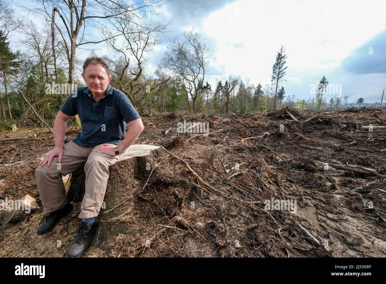 Dr. Ian Rotherham en Rough Standhills Wood en Whirlow que ha sido devastada por el trabajo forestal Foto de stock