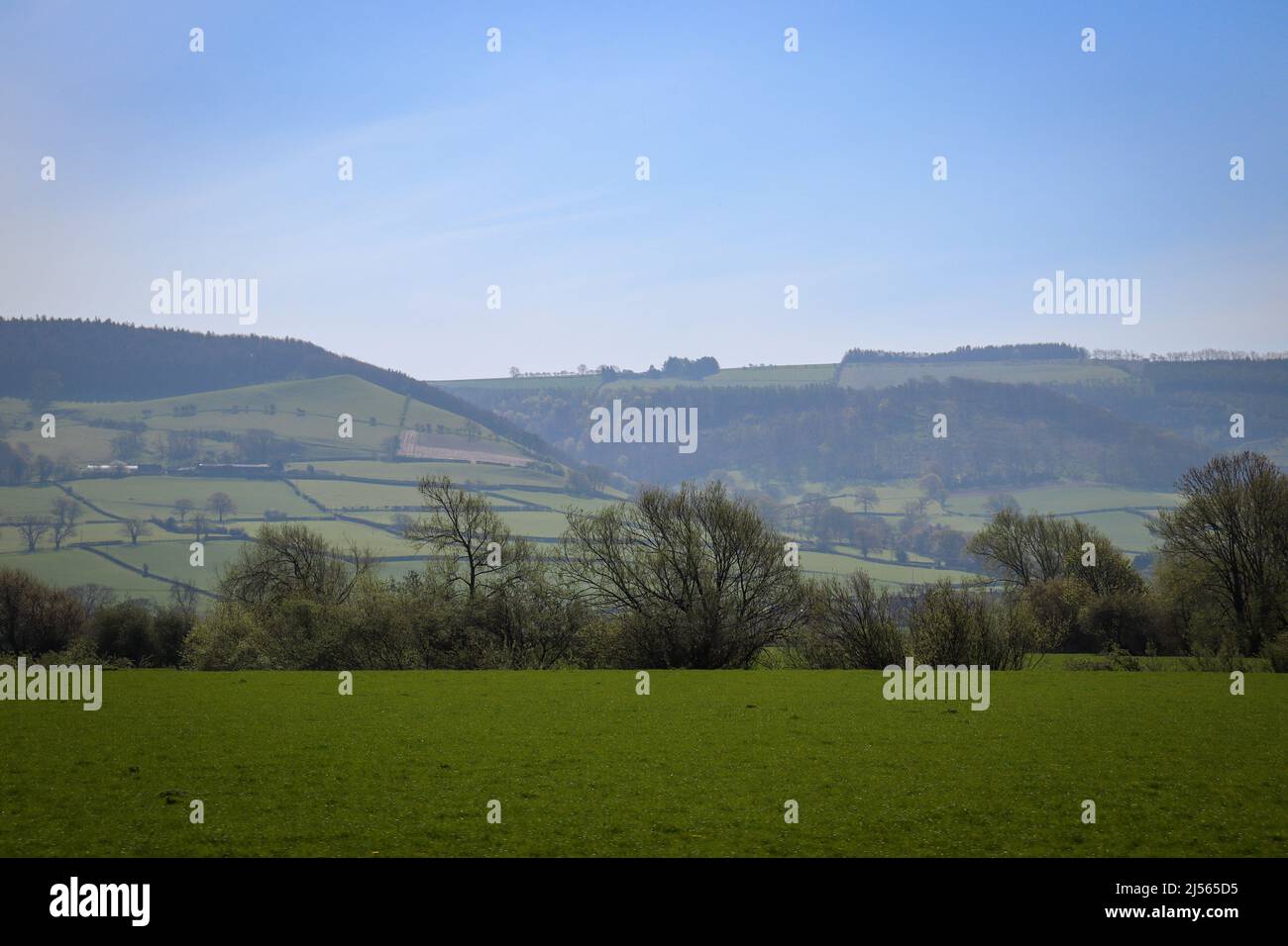 Hermosa y pintoresca campiña galesa / colinas y Blue Sky Foto de stock