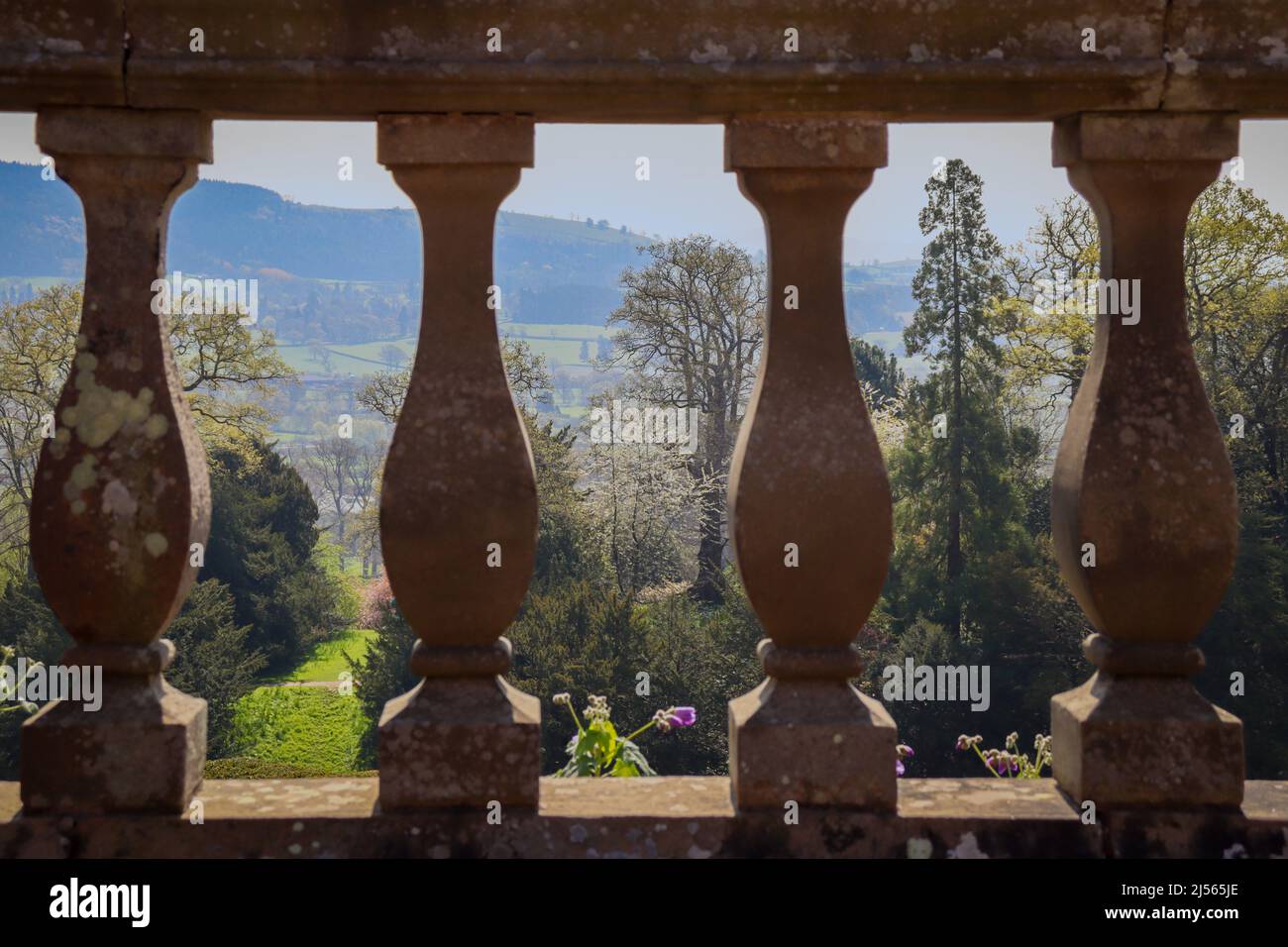 Vista del campo a través de balaustrada de piedra / Powis Castillo y Jardines Foto de stock