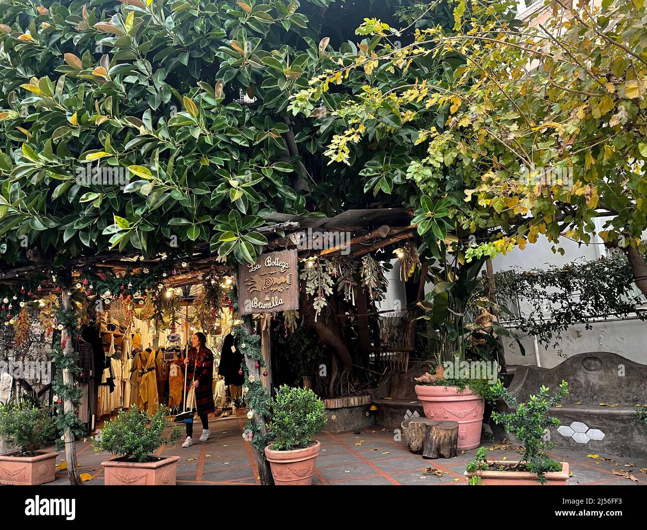 Positano, Italia. Tienda de ropa bajo un impresionante árbol ficus  Fotografía de stock - Alamy