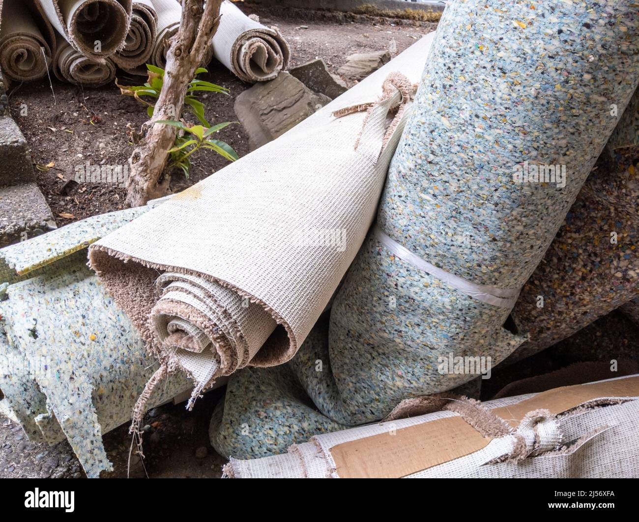 Primer plano, enfoque selectivo en la alfombra rasgada fuera de un apartamento en proceso de remodelación Foto de stock
