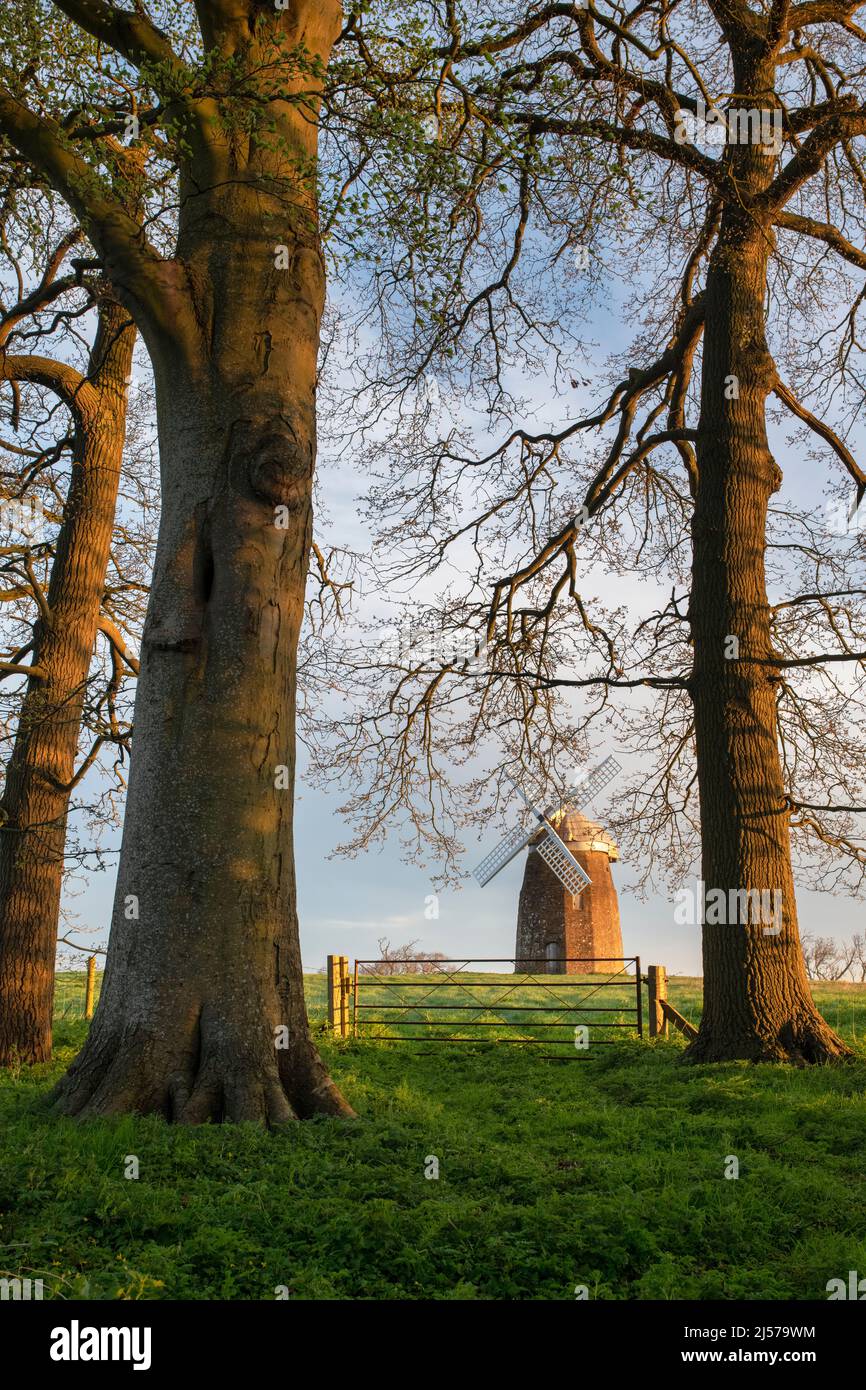 Molino de viento Tysoe en Windmill Hill en la mañana temprano luz del