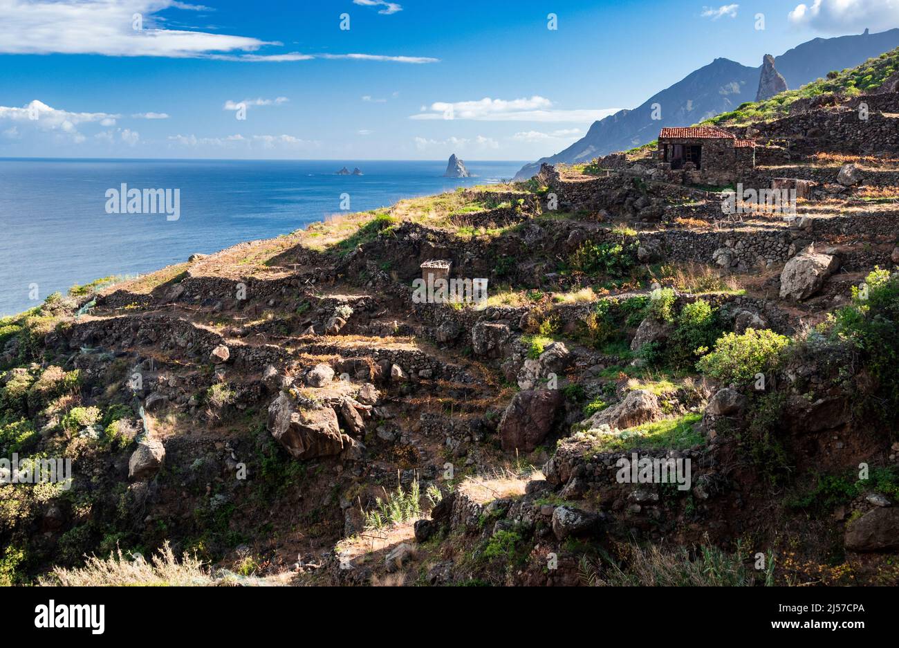 Senderismo desde Taganana a lo largo de la ruta a través de las montañas Anaga a Afur en el norte de Tenerife Islas Canarias durante febrero Foto de stock