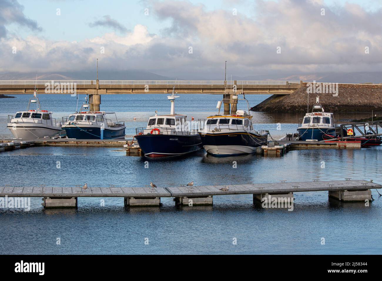 Skellig Michael Tour barcos en Portmagee, Condado de Kerry, Irlanda Foto de stock