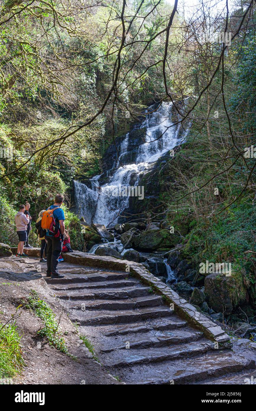 La cascada Torc, el Parque Nacional de Killarney, condado de Kerry, Irlanda Foto de stock