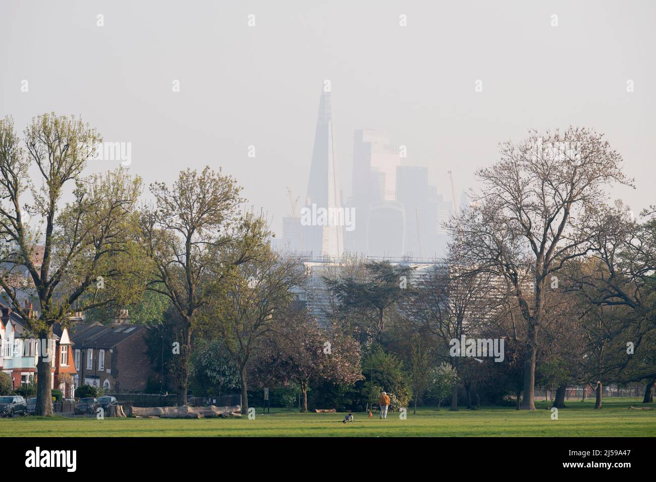 Propiedades en el sur de Londres y el Shard, visto desde Ruskin Park, un espacio verde en el sur de Londres en Lambeth, el 21st de abril de 2022, en Londres, Inglaterra. Foto de stock
