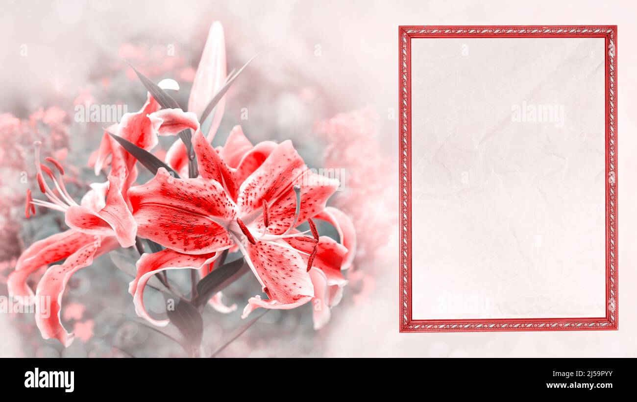 Flores de papel fotografías e imágenes de alta resolución - Alamy