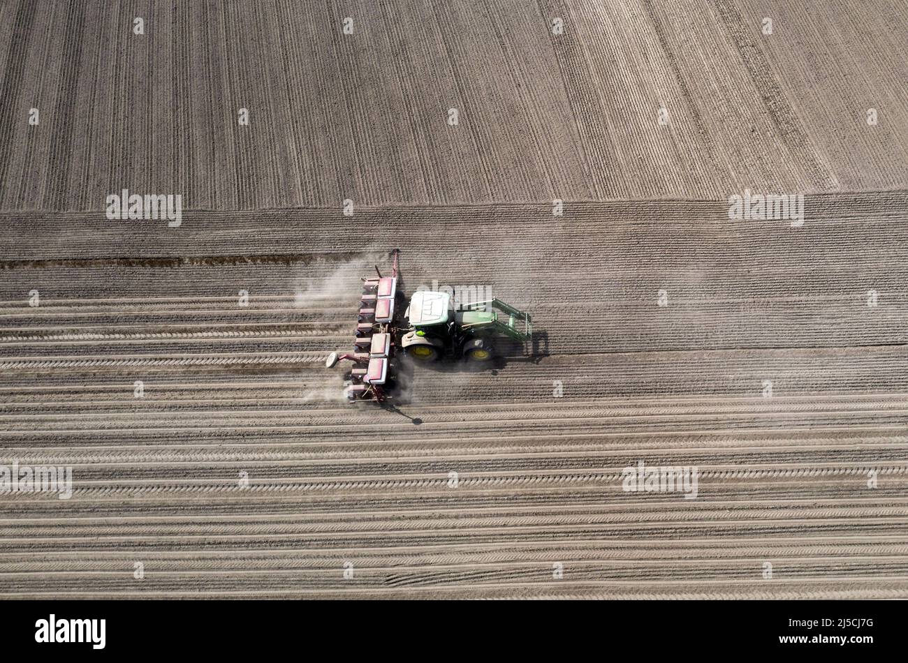 Debido a la persistente sequía, un tractor arrastra una gran cantidad de polvo detrás de él mientras siembra maíz. [traducción automática] Foto de stock