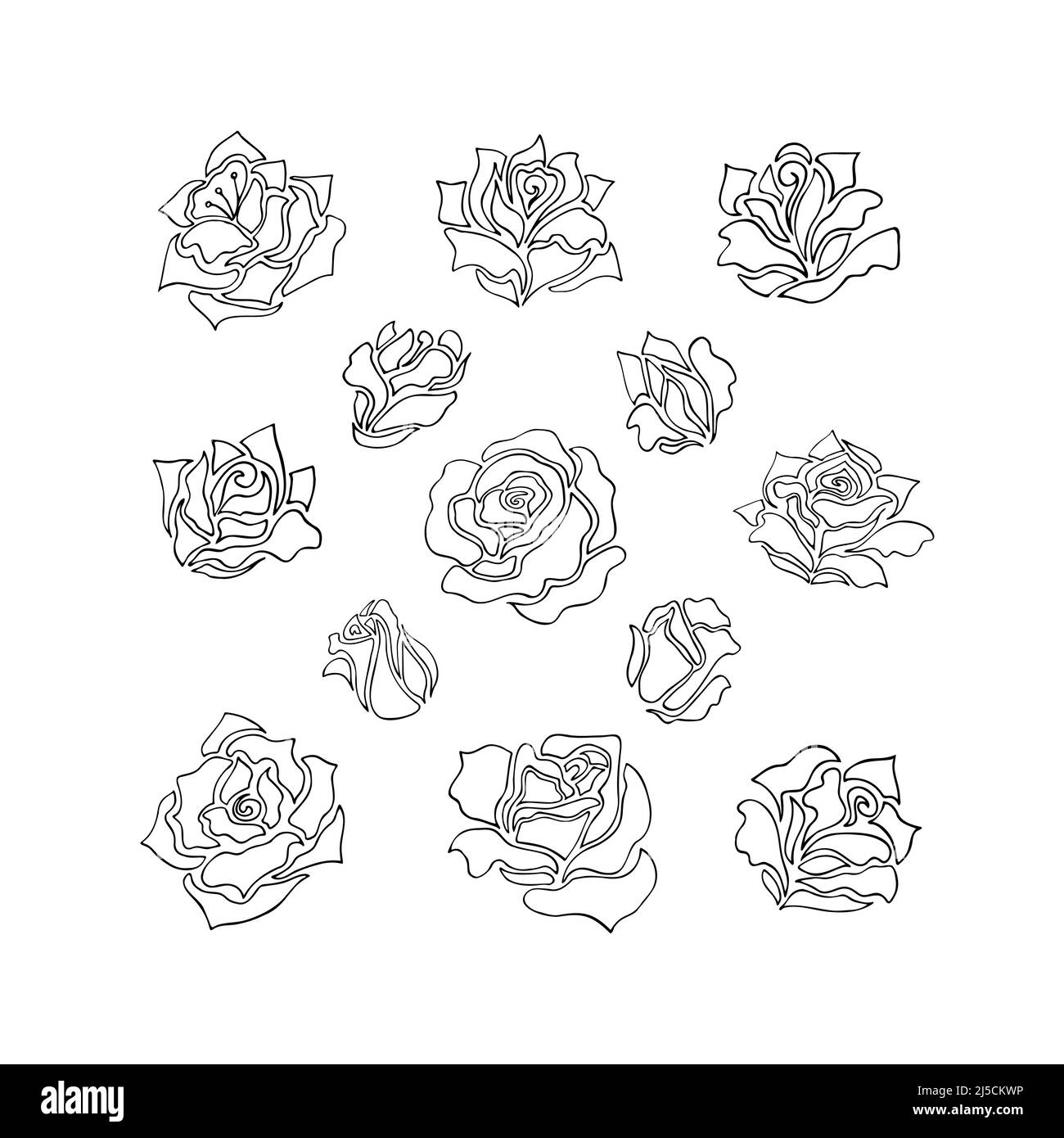 Ilustraciones de flores de rosas y brotes. Colección de elementos florales con un estilo original de líneas bosquejadas Ilustración del Vector