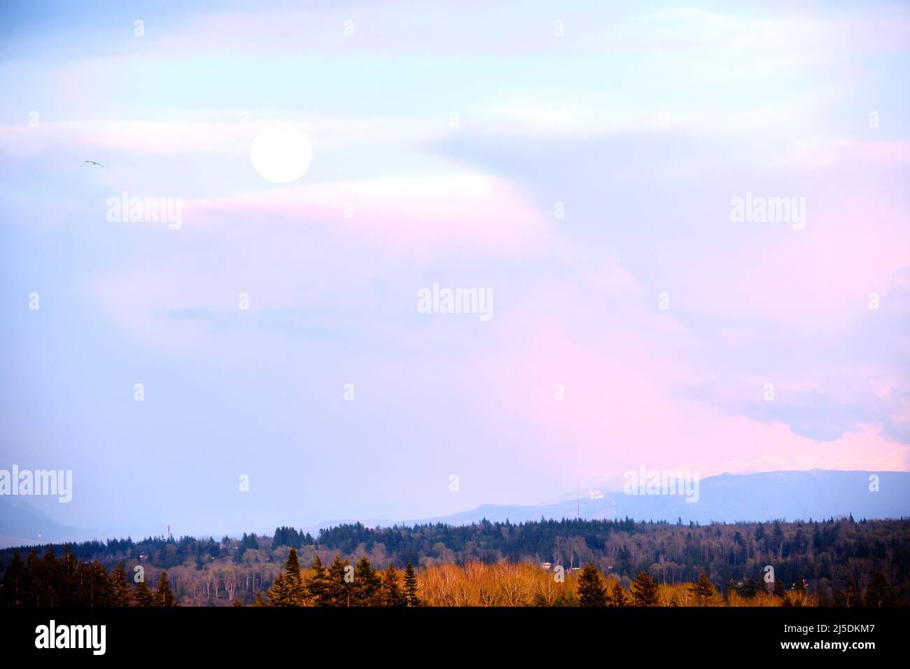 Vista diurna de la luna llena a través de cielos parcialmente nublados hacia la base del Monte Baker, WA desde White Rock, BC. Las nubes reflejan la suave luz rosa de la puesta de sol Foto de stock