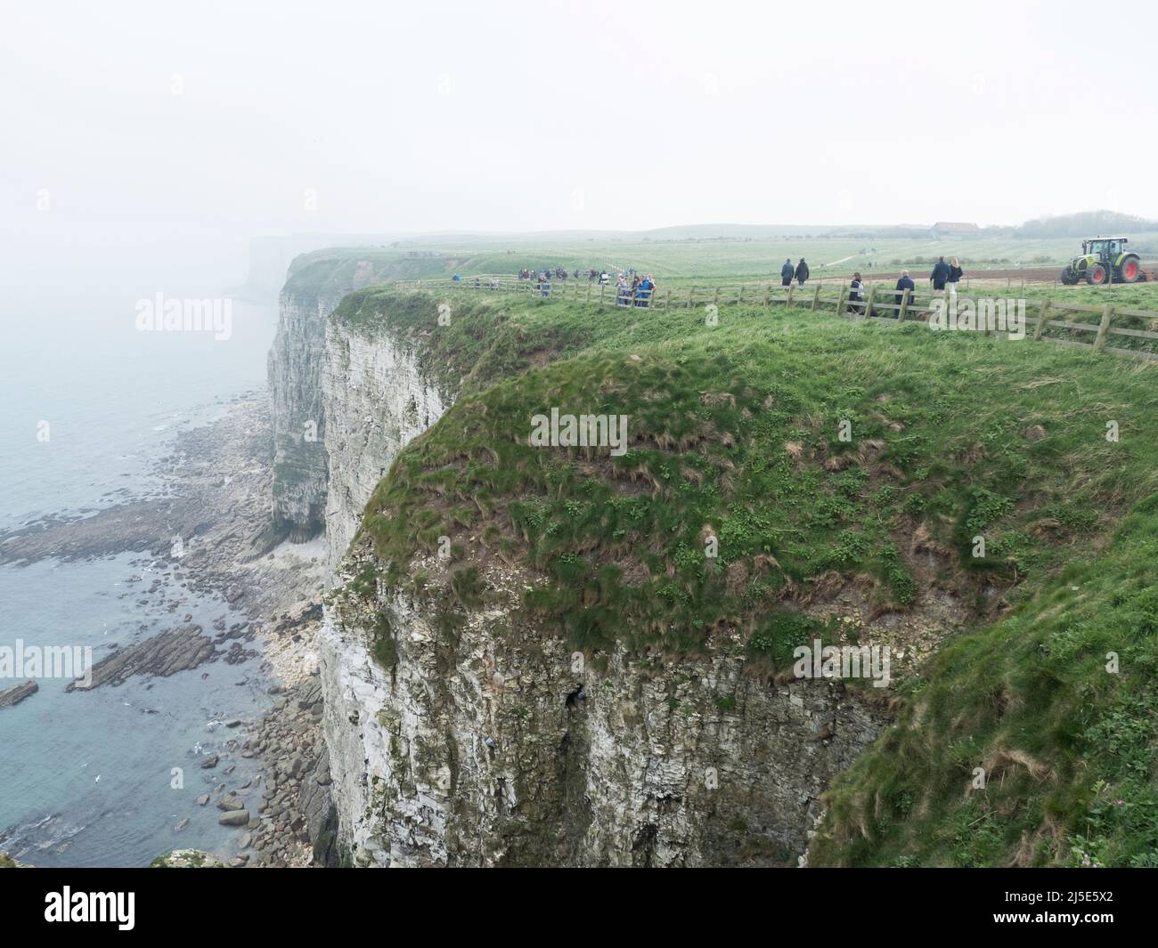 Observadores de aves en Bempton Cliffs. Yorkshite Reino Unido Foto de stock