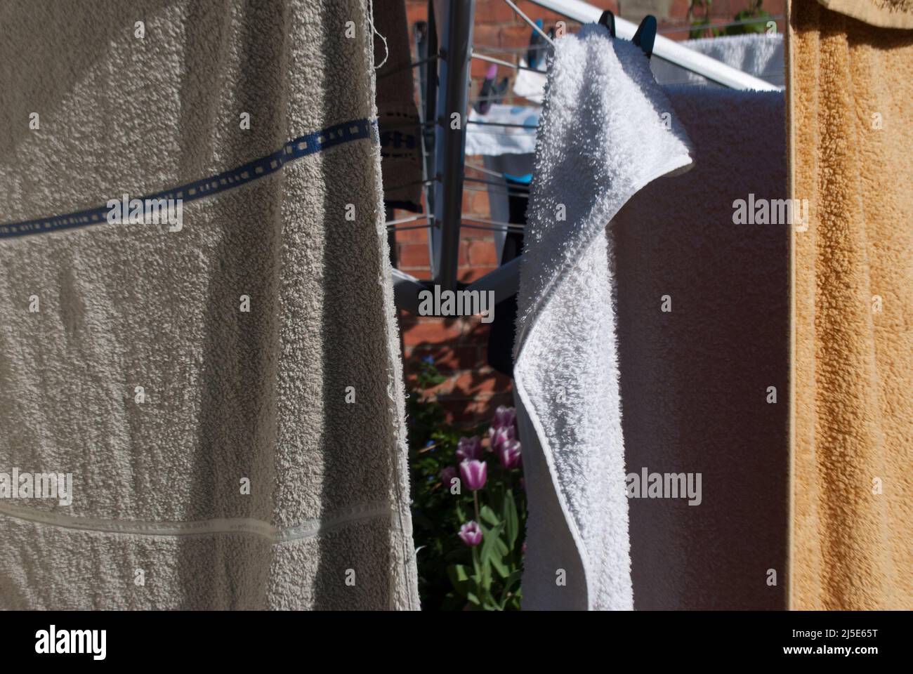 Primer plano de toallas / lavado colgando en una línea de paños montados en la pared en el jardín en Ruskington, Sleaford, Inglaterra, Reino Unido Foto de stock