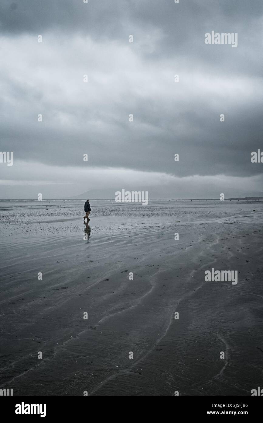 Hombre caminando solo en la playa de invierno húmeda, marea afuera; ondulaciones en arena; cielo cubierto gris azulado; Montañas Mourne en fondo distante; colores frescos. Foto de stock
