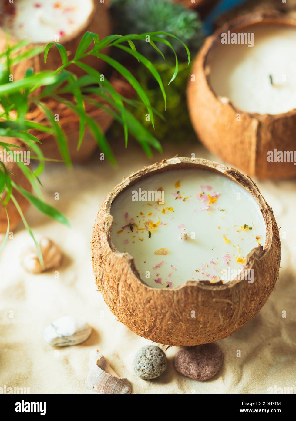 Vela ecológica en cáscara de coco Cera de soja natural Velas