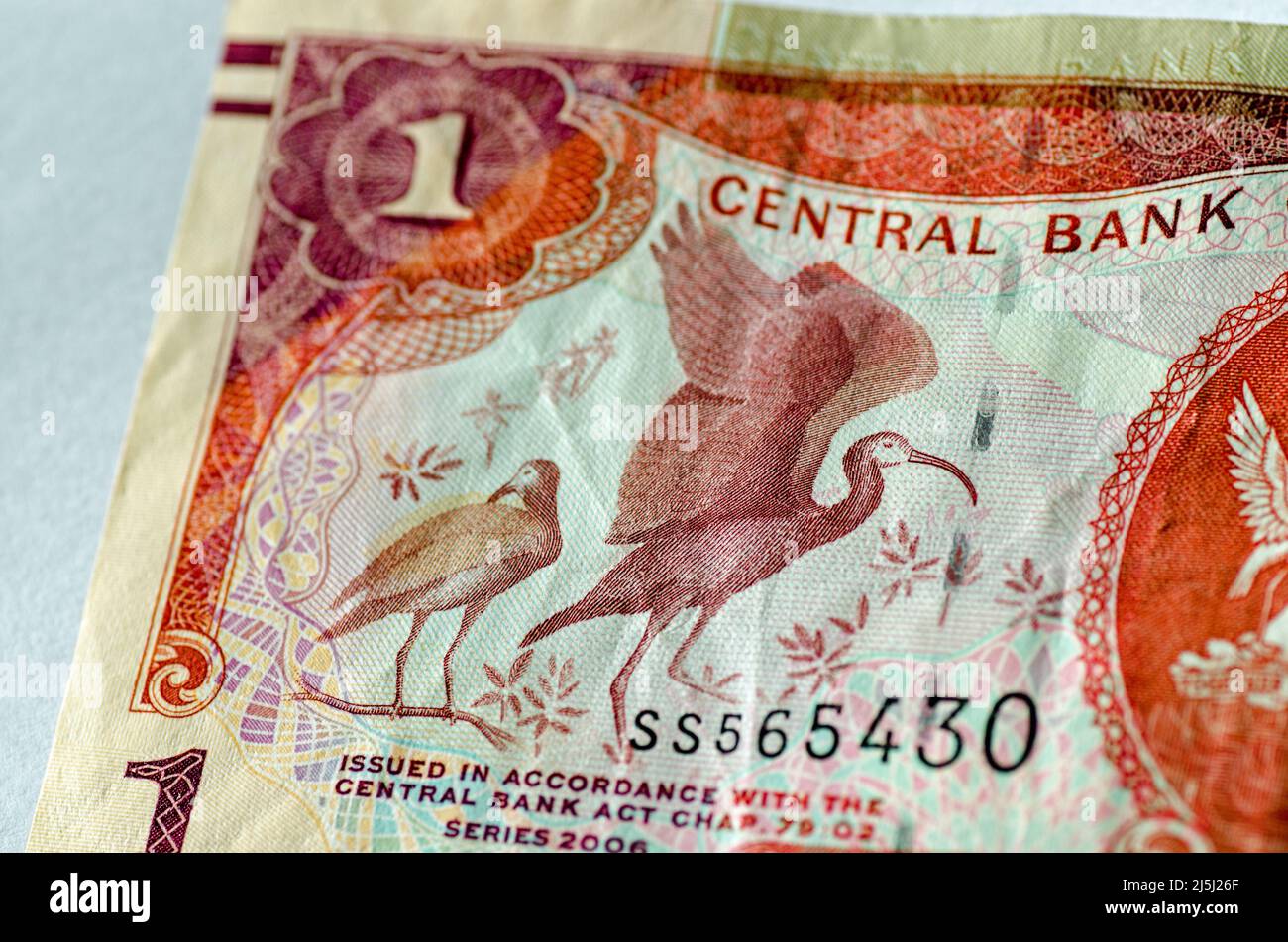 Detalle de un billete de un dólar de Trinidad y Tobago que muestra las aves Scarlet Ibis (Eudocimus ruber) y algunas plantas. Billete usado, fotografiado Foto de stock
