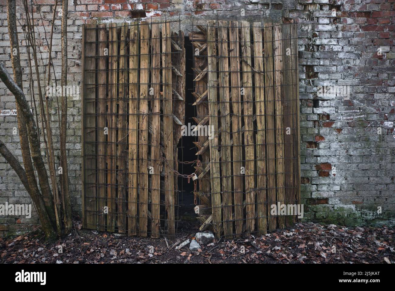Puerta vieja en una ruina histórica abandonada Foto de stock