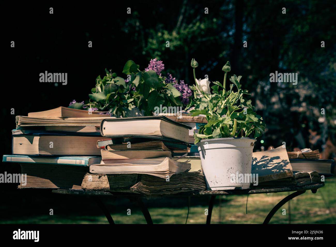 Montón de libros antiguos en una mesa de hierro forjado en un jardín. Foto de stock