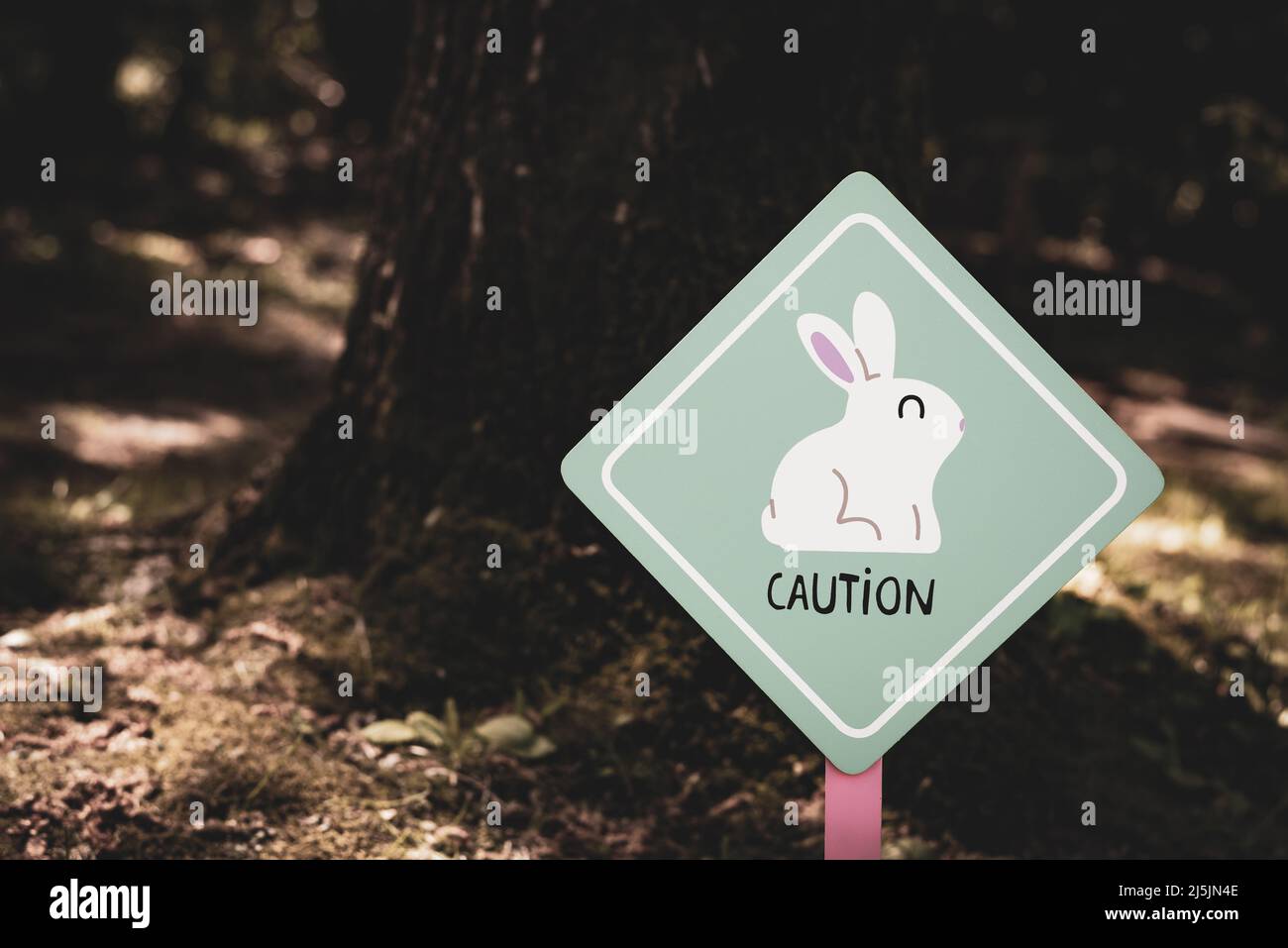 Signo divertido dentro de un bosque. Precaución: Conejos. Ánimo de Pascua. Foto de stock