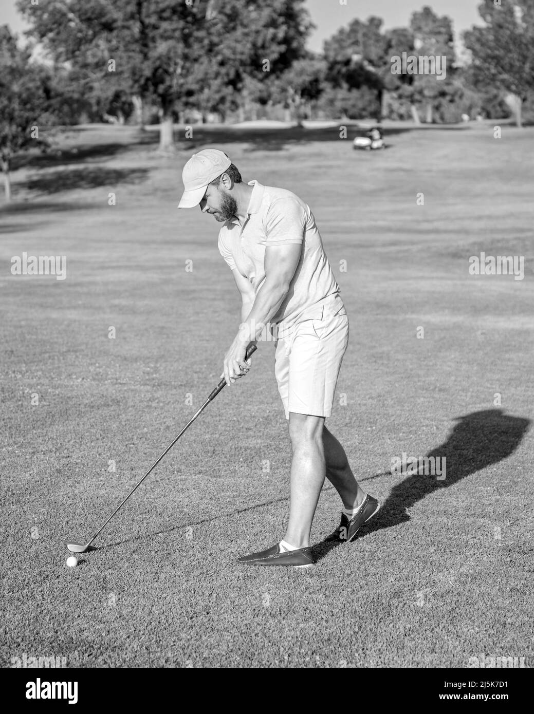 hombre activo jugando al golf en césped verde, verano Foto de stock