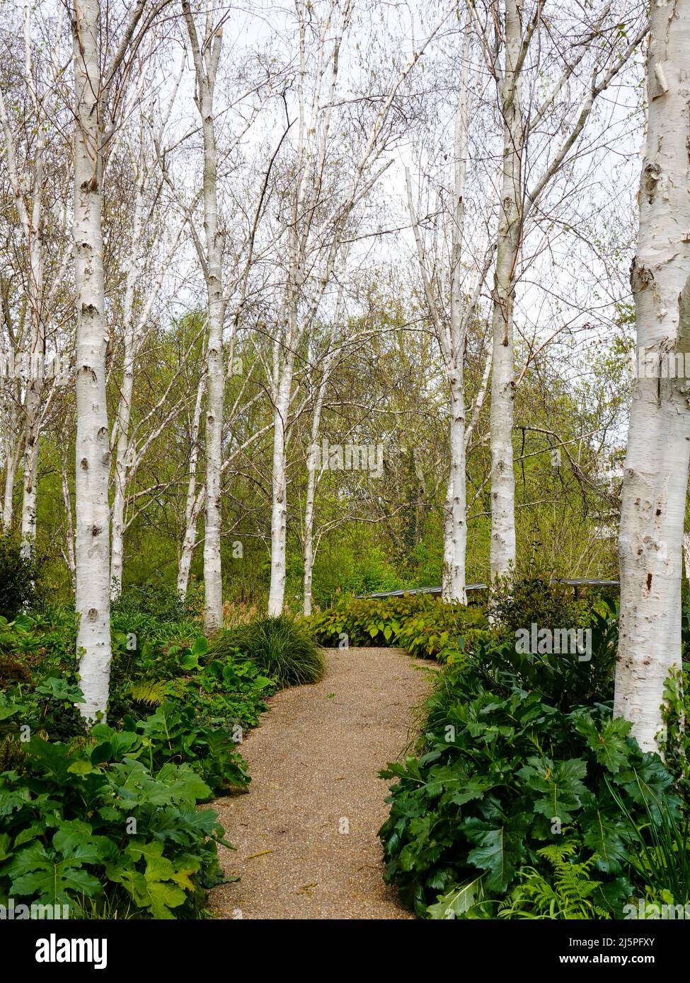 Jardines del Parc de Bercy a principios de primavera, París, Francia. Foto de stock