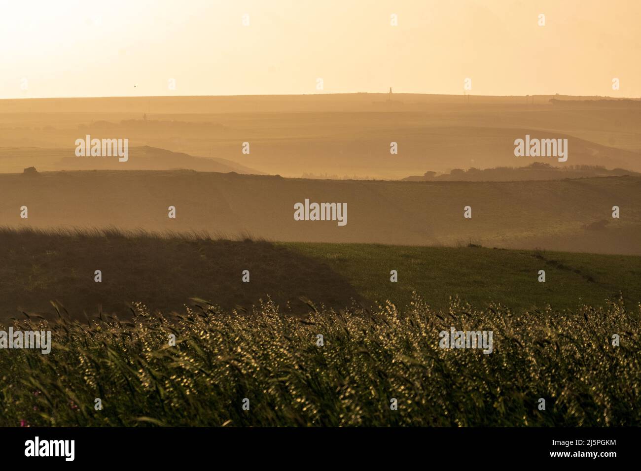 Campos de hierba y colinas onduladas al atardecer, cerca de Sagres, Portugal Foto de stock