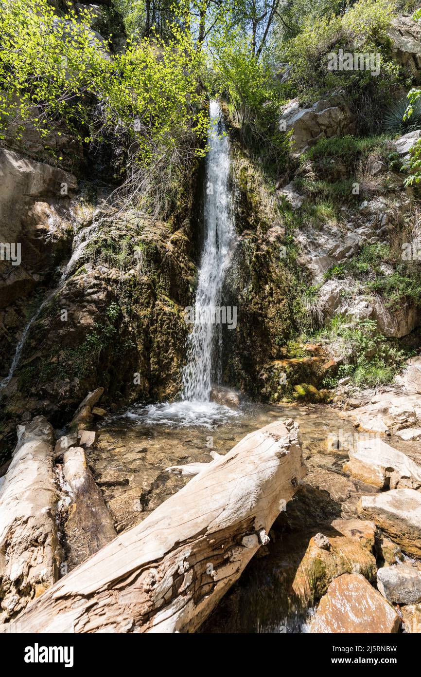 Lewis Falls en las montañas de San Gabriel cerca de Azusa y Los Angeles, California. Foto de stock