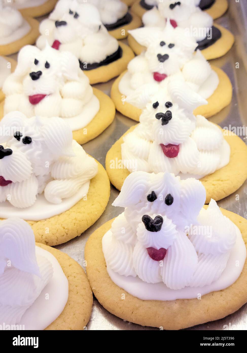 Galletas cute del perrito con el frosting blanco en un estante de la panadería Foto de stock