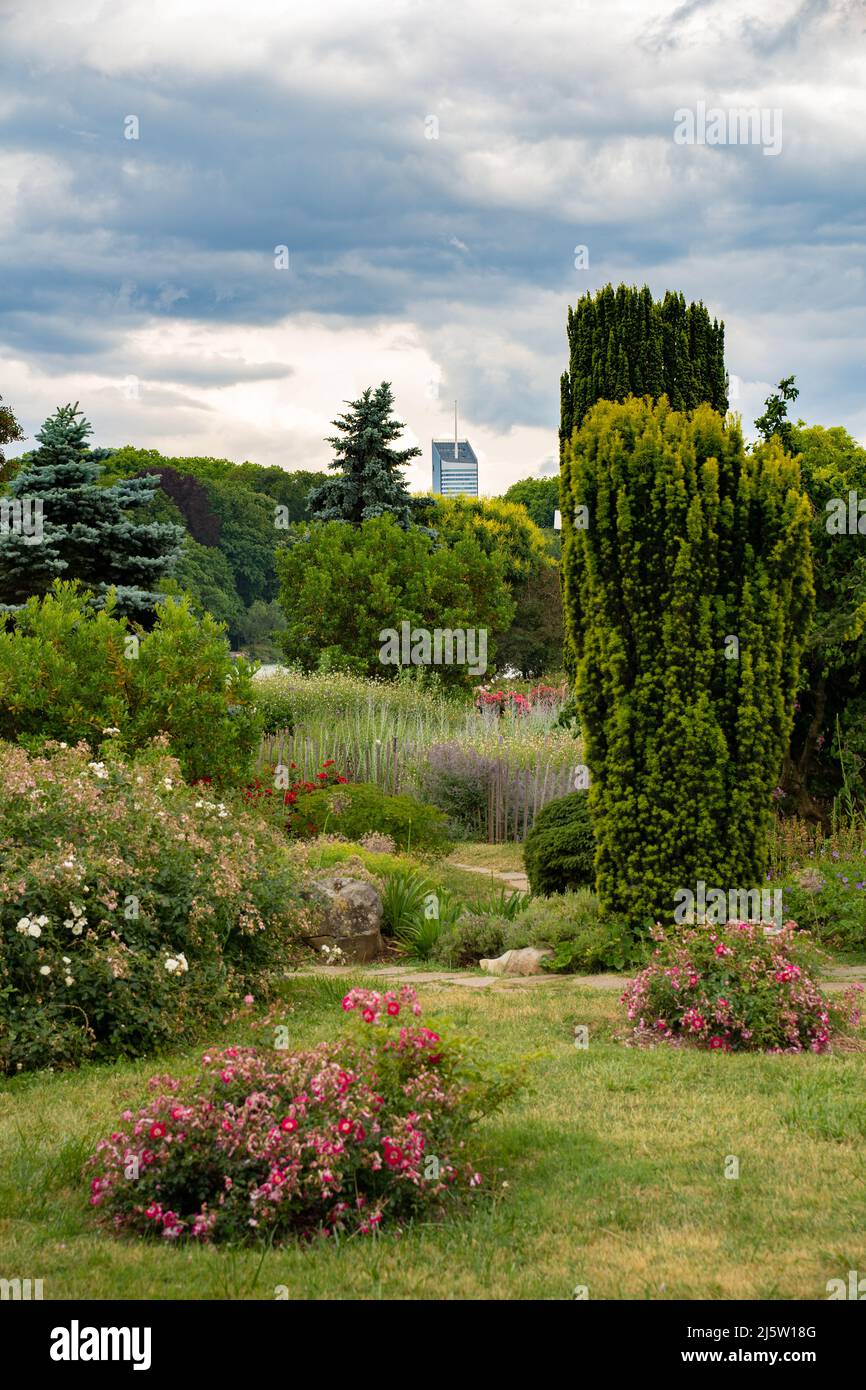 Jardín de flores en el Parc de la Tete d'Or en Lyon. 2020 Foto de stock