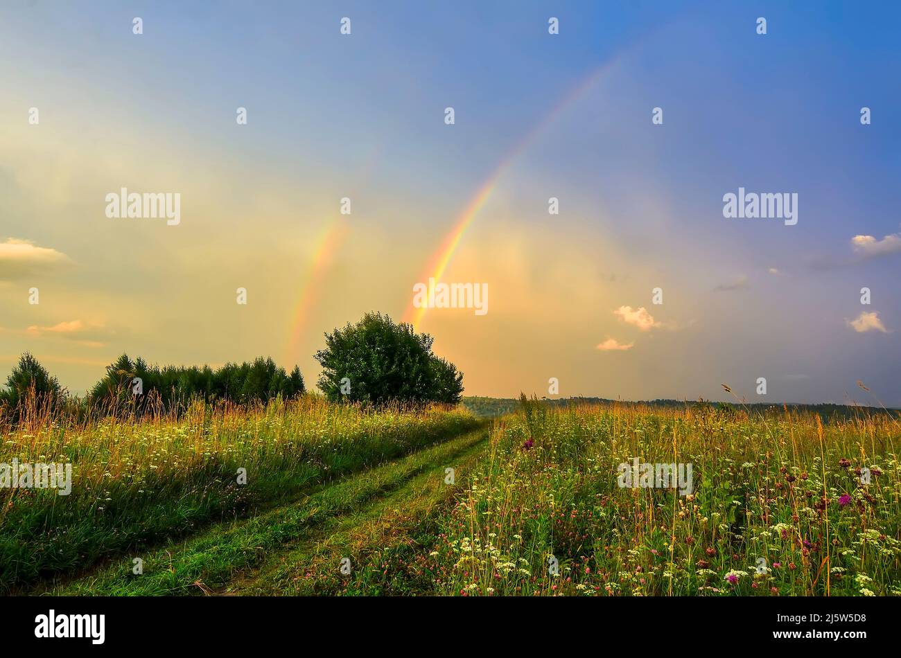 Increíble escena en prado de verano. Parte arco de hermoso arco iris doble sobre carretera rural y pradera con flores en la fantástica luz del sol de la tarde. Paisaje pho Foto de stock