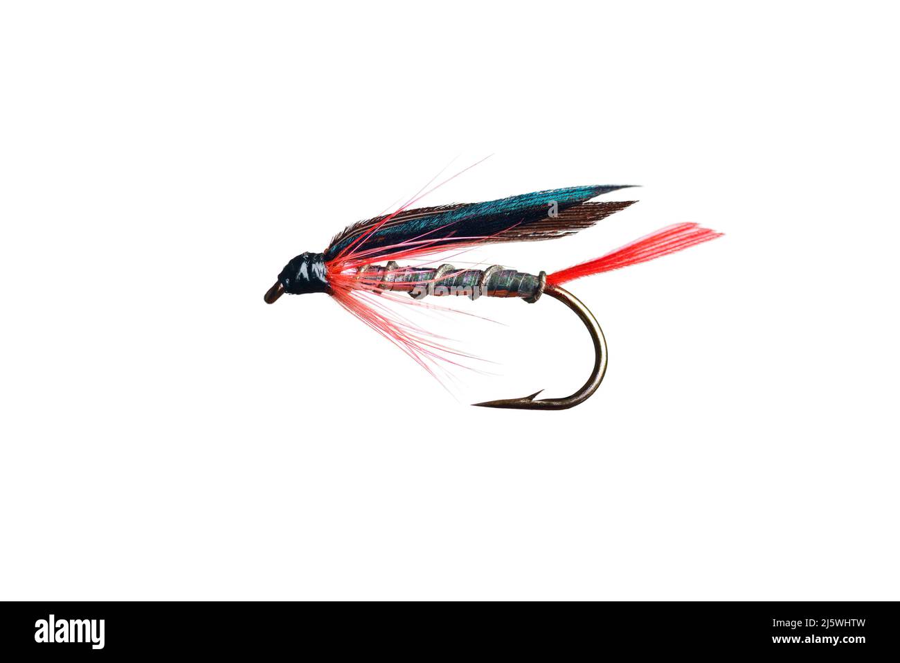 Pesca Fly, Cut Out Foto de stock
