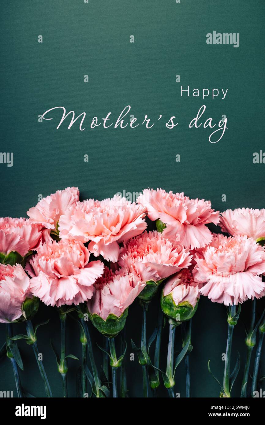 Claveles rosas sobre fondo verde turquesa con inscripción Feliz Día de la Madre. Foto de stock