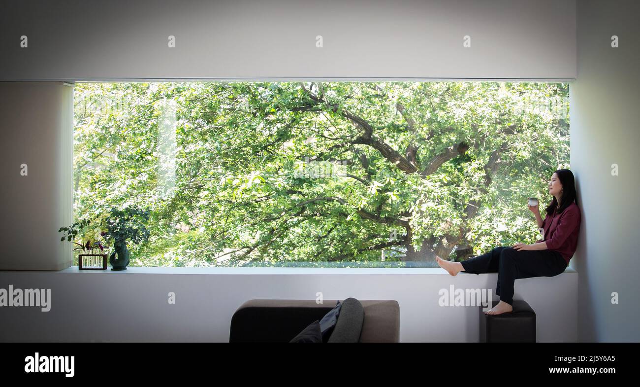 Mujer joven bebiendo té en la ventana con vista al árbol Foto de stock