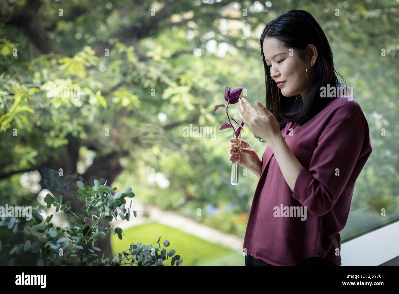 Mujer joven mirando la rama de la planta en la ventana Foto de stock