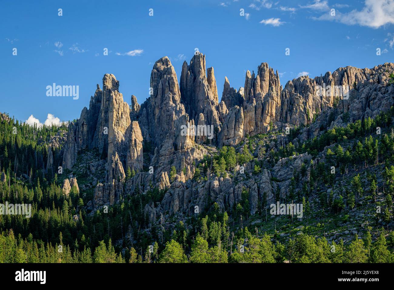 Las formaciones rocosas de granito Needles en el Parque Estatal Custer, Black Hills, Dakota del Sur. Foto de stock