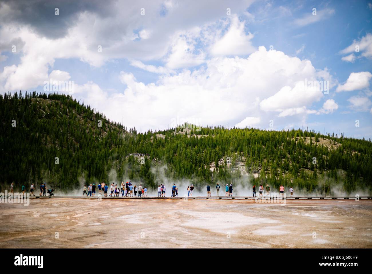 El Parque Nacional de Yellowstone. Foto de stock