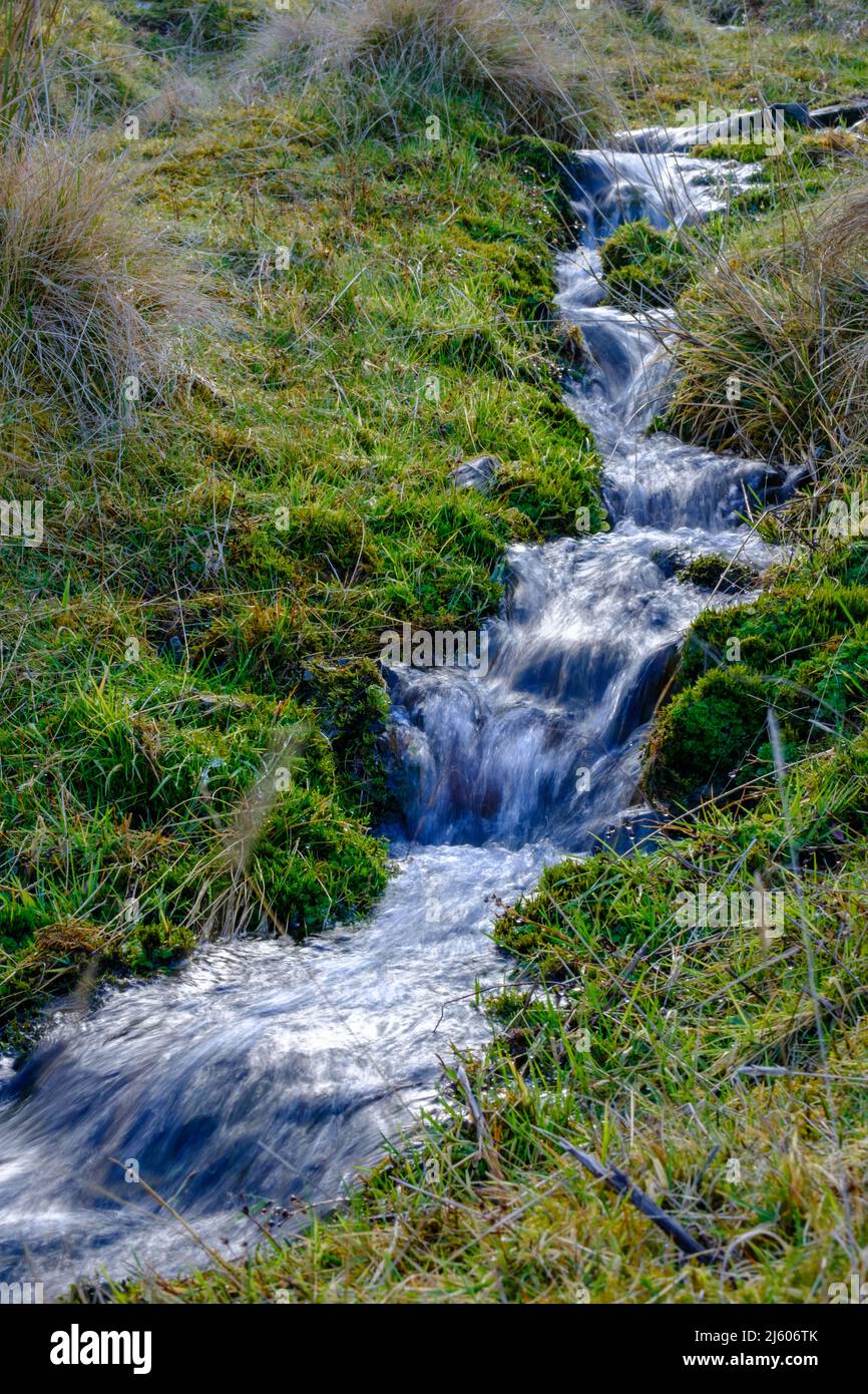 Fast Flowing Burn (Stream, Brook o Creek) en el Scottish Wilderness Foto de stock