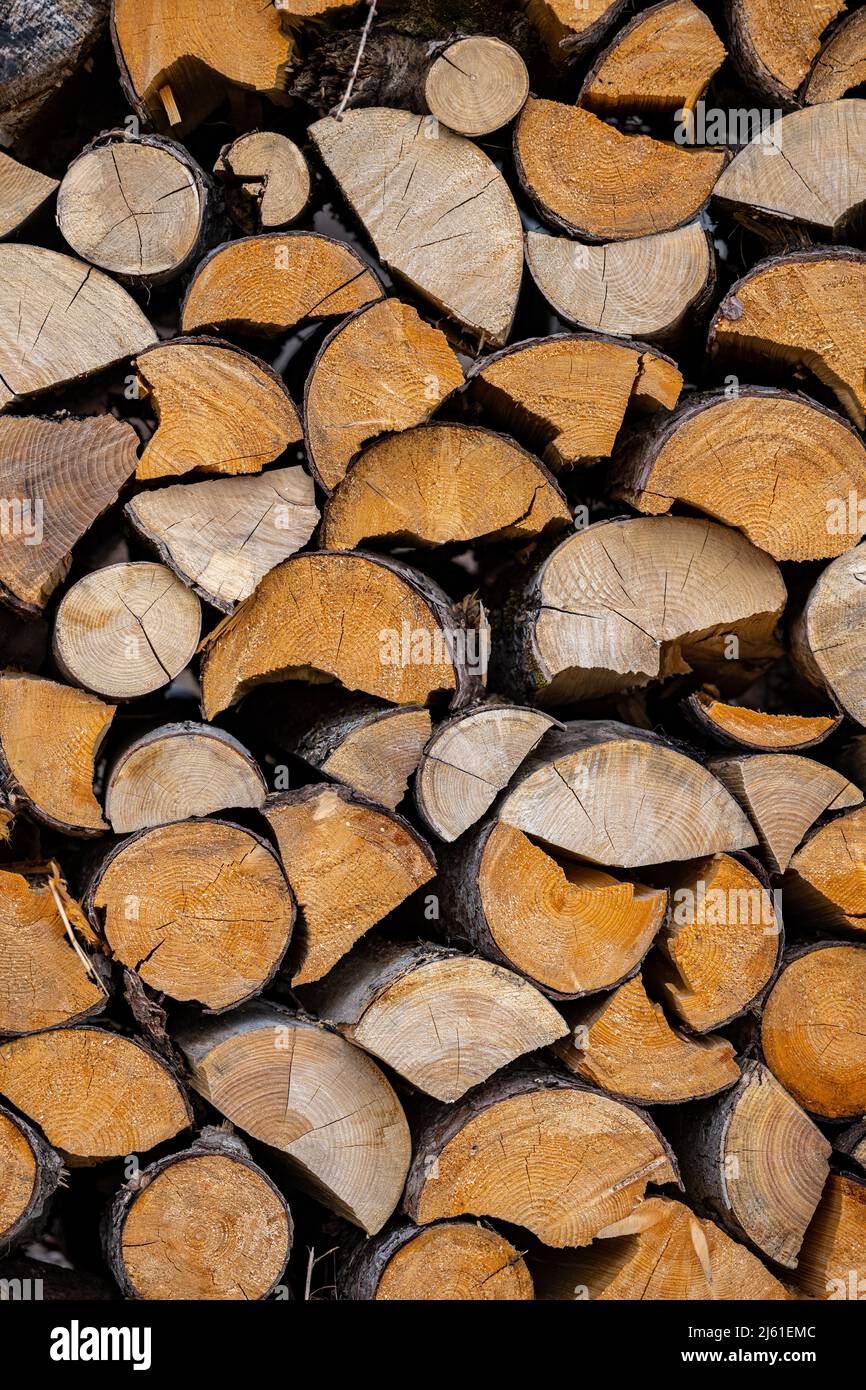 Un montón de leña secando antes del invierno Foto de stock