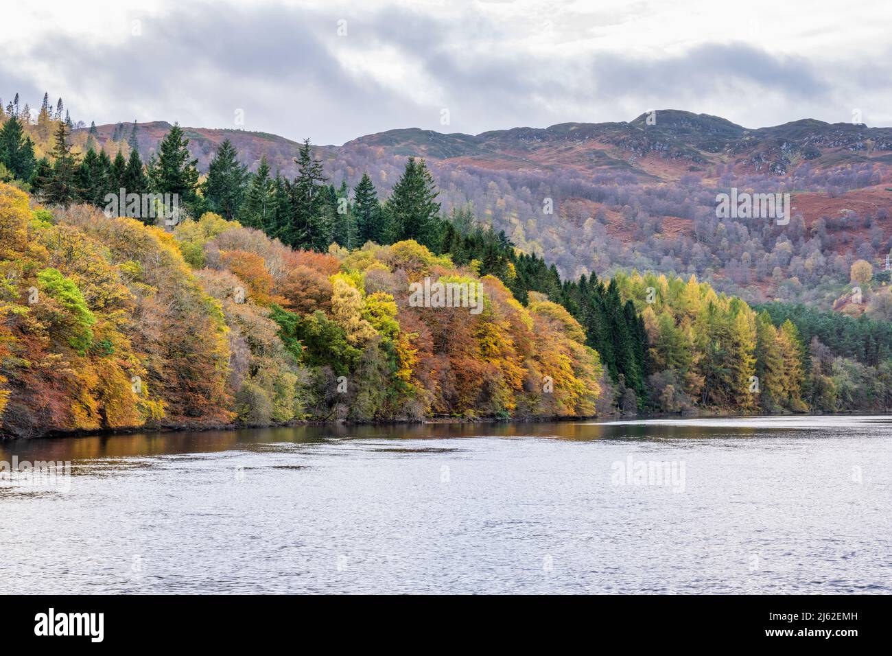 Colores otoñales en el lago Faskally cerca de Pitlochry en Perthshire, Escocia, Reino Unido Foto de stock