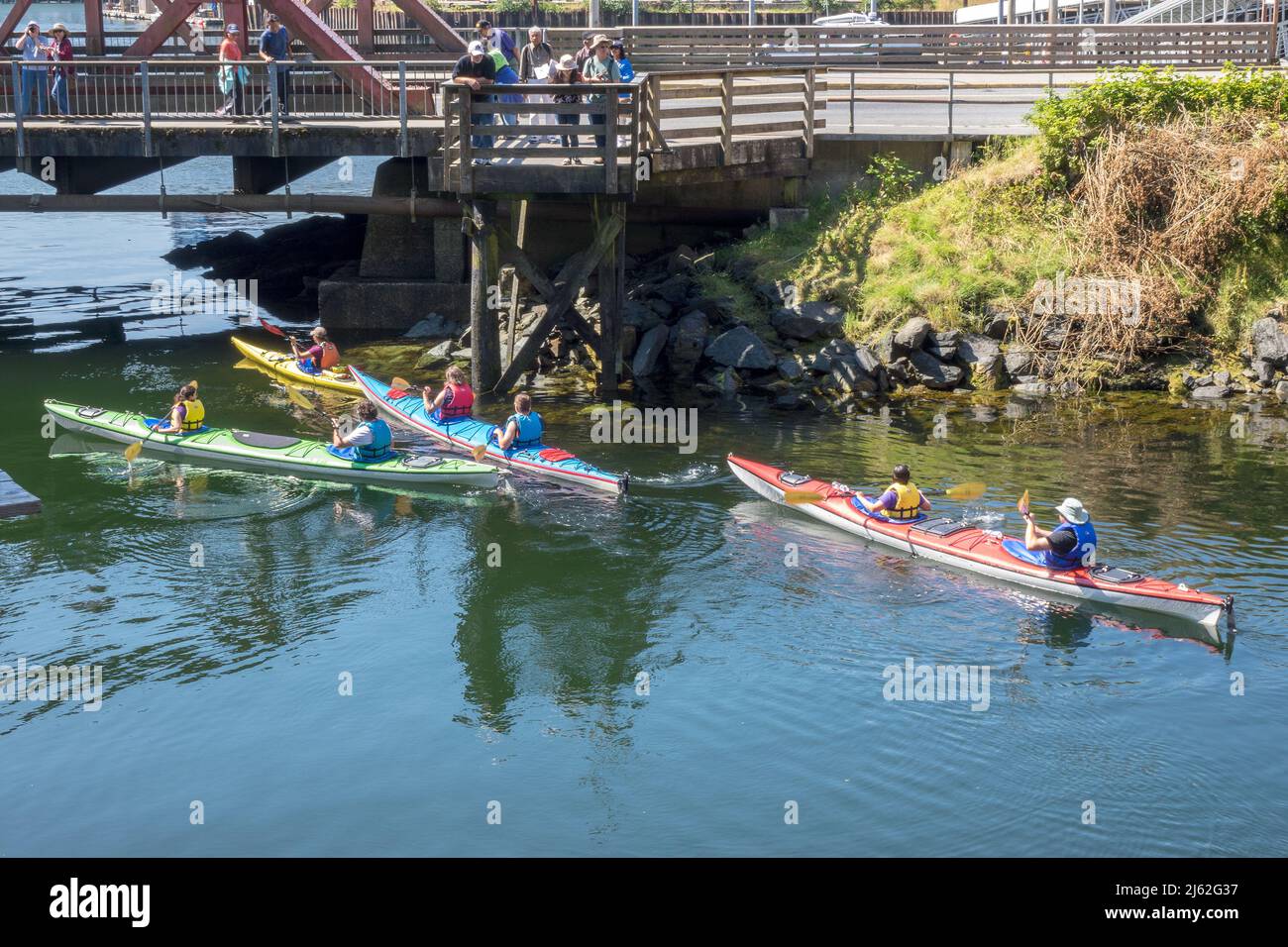 Los turistas en kayak de mar en tándem en un recorrido en kayak de mar en Ketchikan Creek Ketchikan Alaska Foto de stock