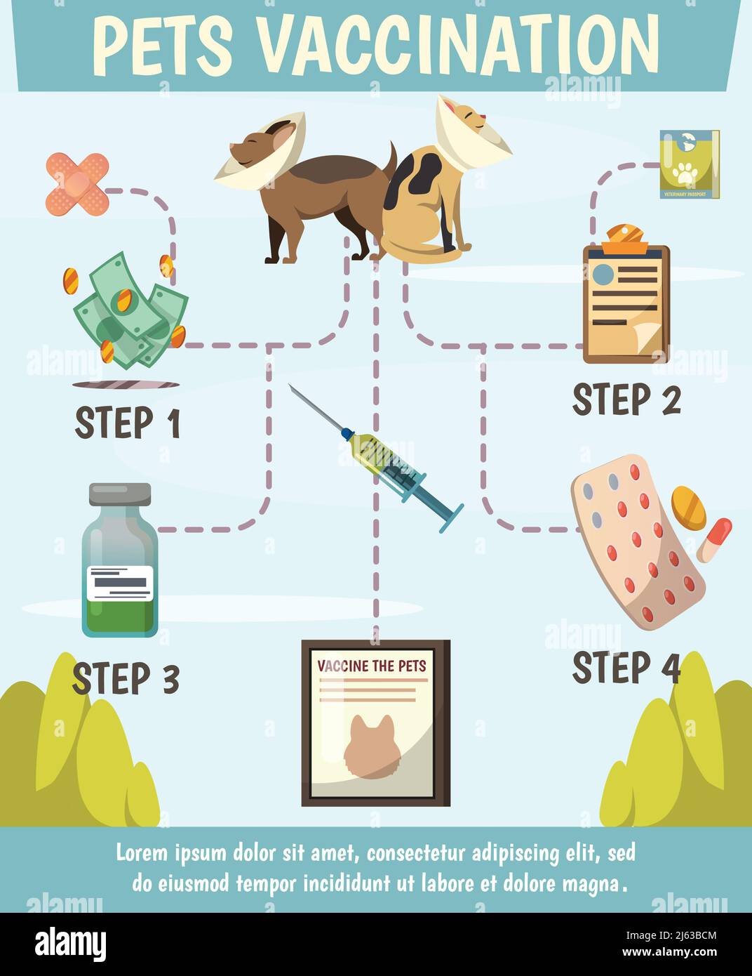 Pets obligatoria cartel de diagrama de flujo ortogonal con 4 pasos de prevención cuidado de la protección óptima de los animales vector ilustración Imagen Vector de stock -