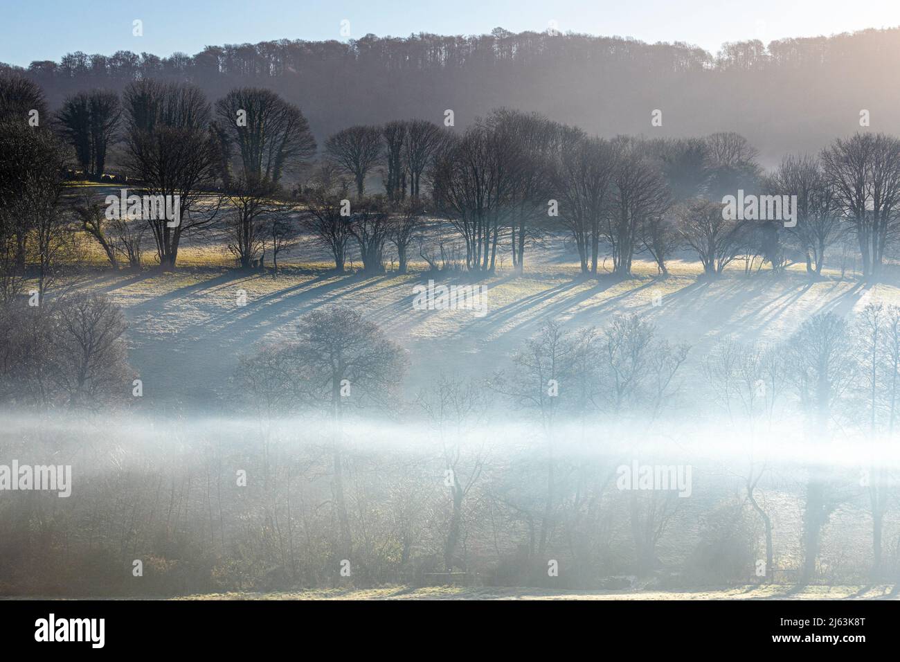 Neblina y heladas en la mañana de invierno cerca de la aldea Cotswold de Cranham, Gloucestershire, Inglaterra Reino Unido Foto de stock